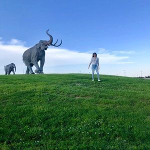 Meet your Posher, Victoria